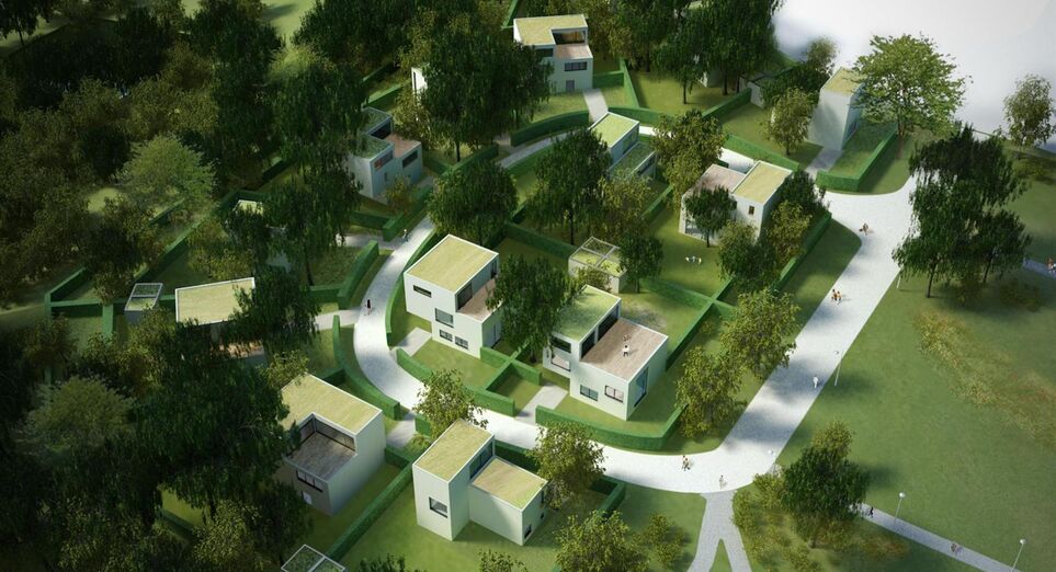 Anemoonproject - Brunenshof in Tienen