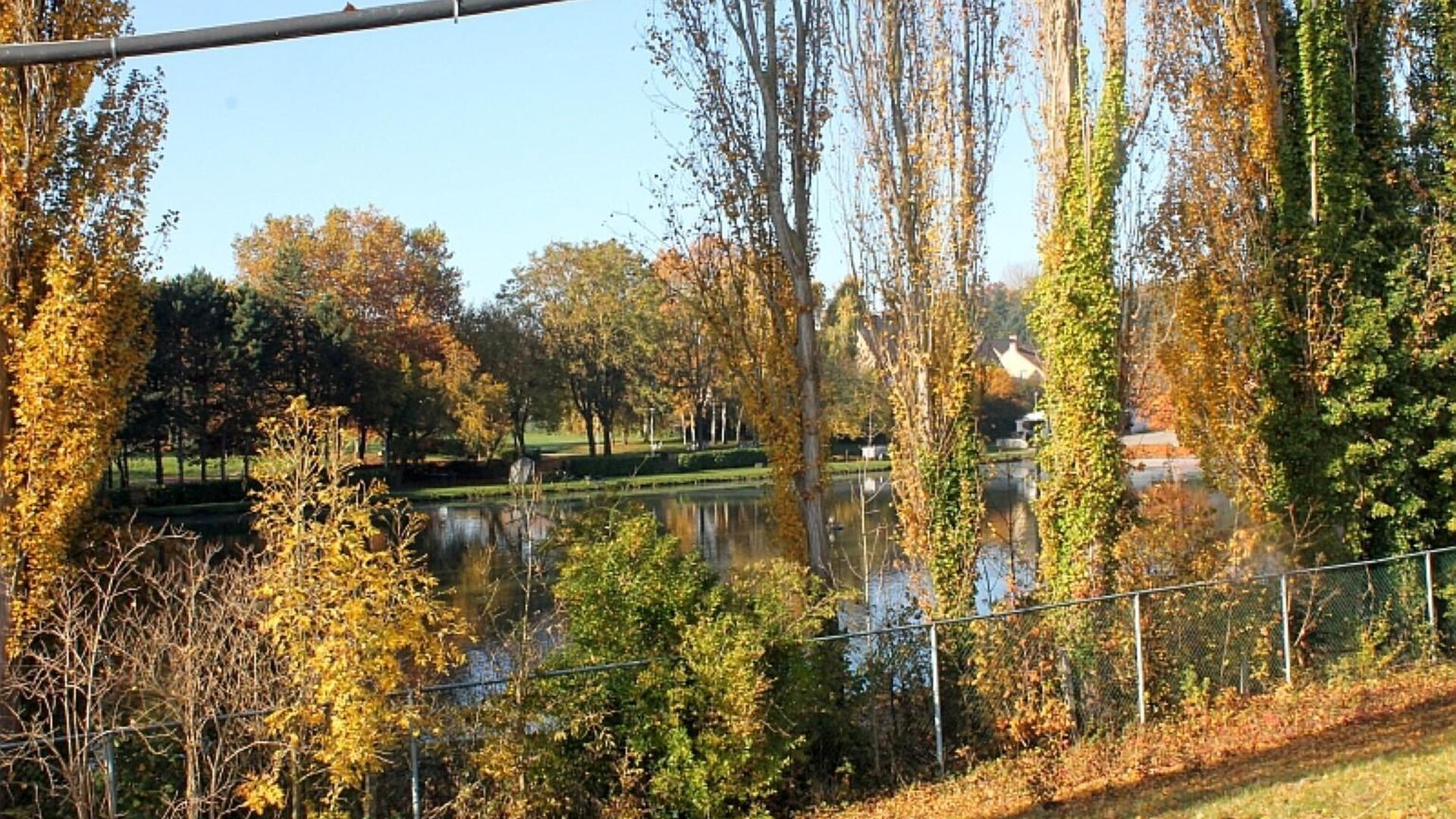 Anemoonproject Brunenshof in Tienen