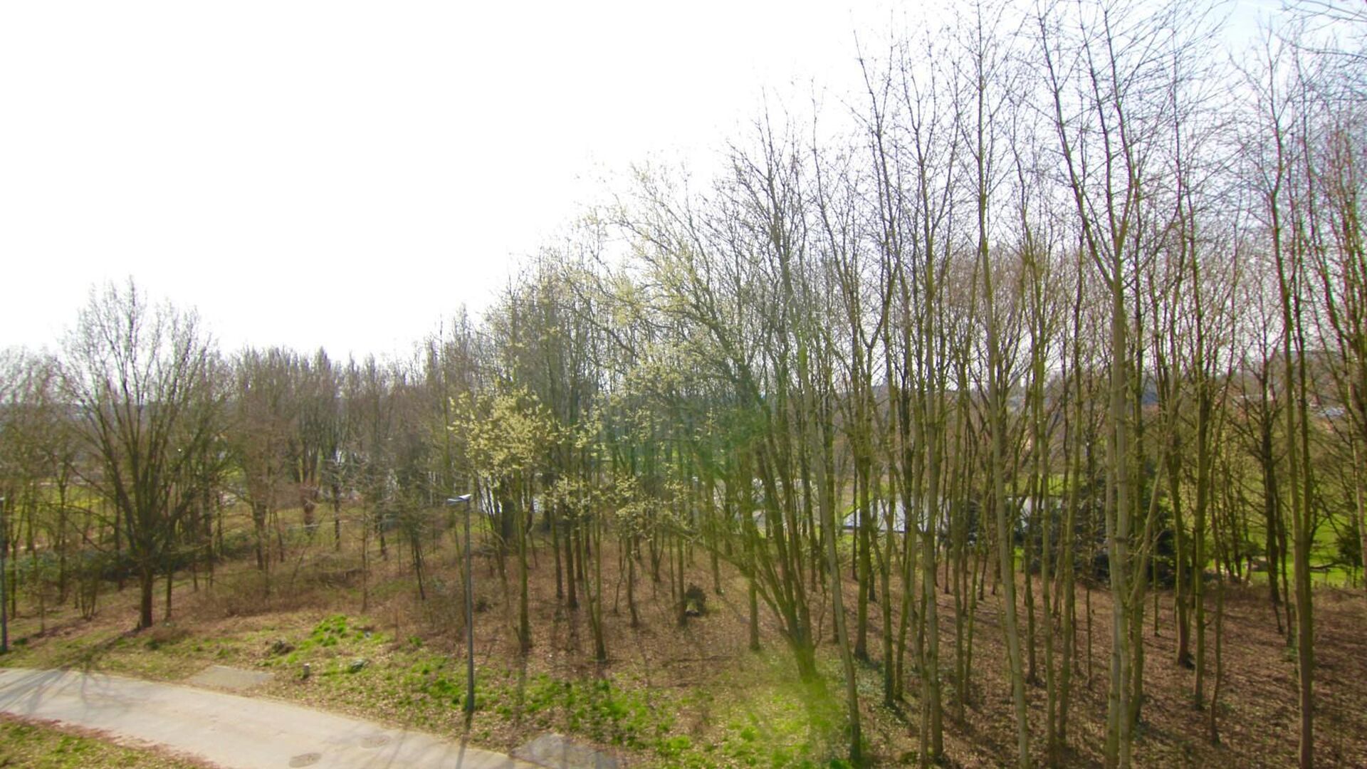 Anemoonproject Brunenshof in Tienen