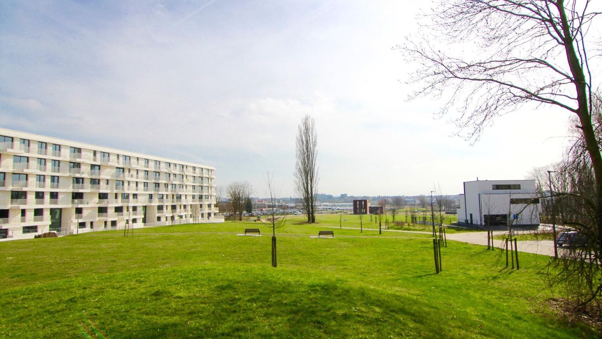 Anemoonproject Brunenshof in Tienen