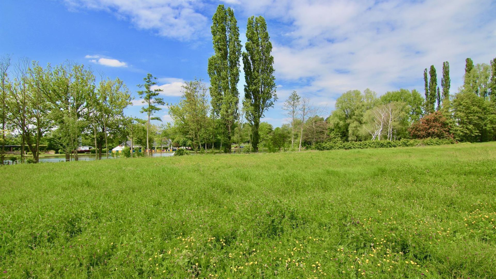 Anemoonproject - Steenhof in Tienen