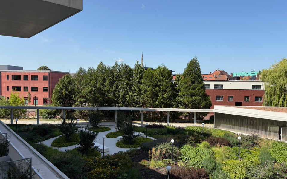 Appartement te huur in Leuven