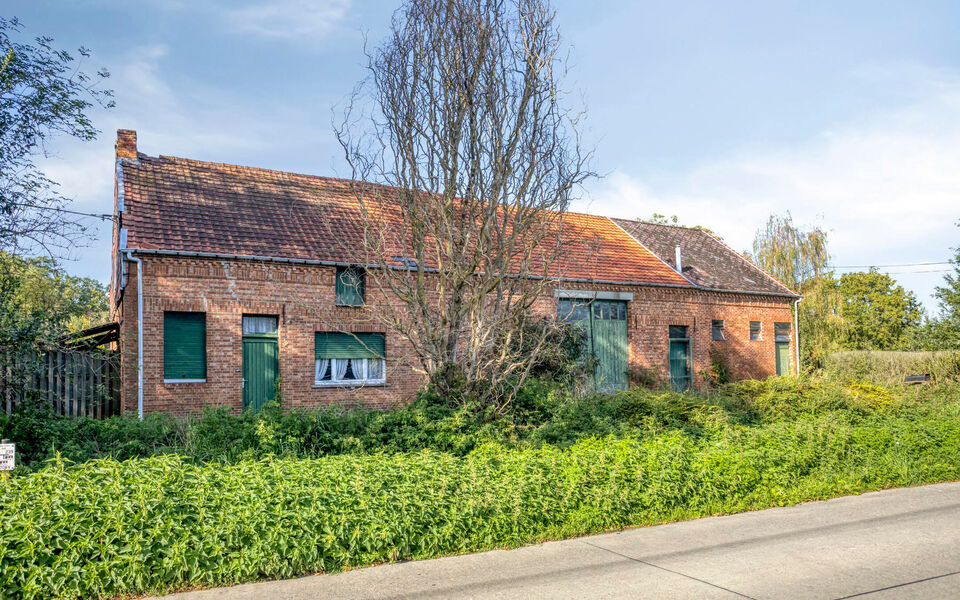 Boerderij te koop in Langdorp