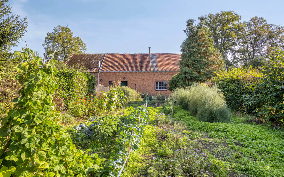 Boerderij te koop in Langdorp