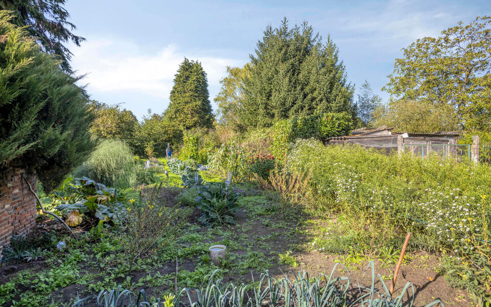 Boerderij te koop in Langdorp