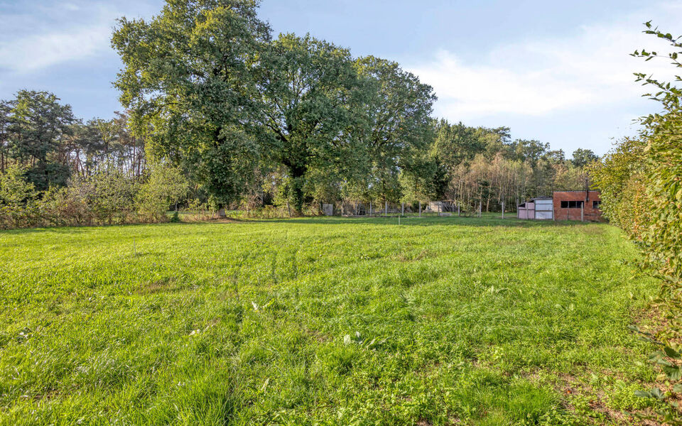 Boerderij te koop in Langdorp