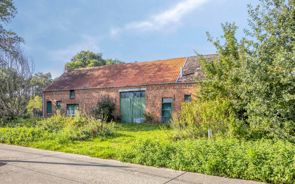 Boerderij te koop in Langdorp