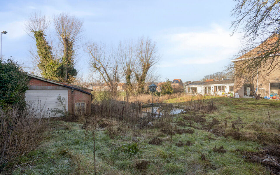 Bouwgrond (projecten) te koop in Bertem