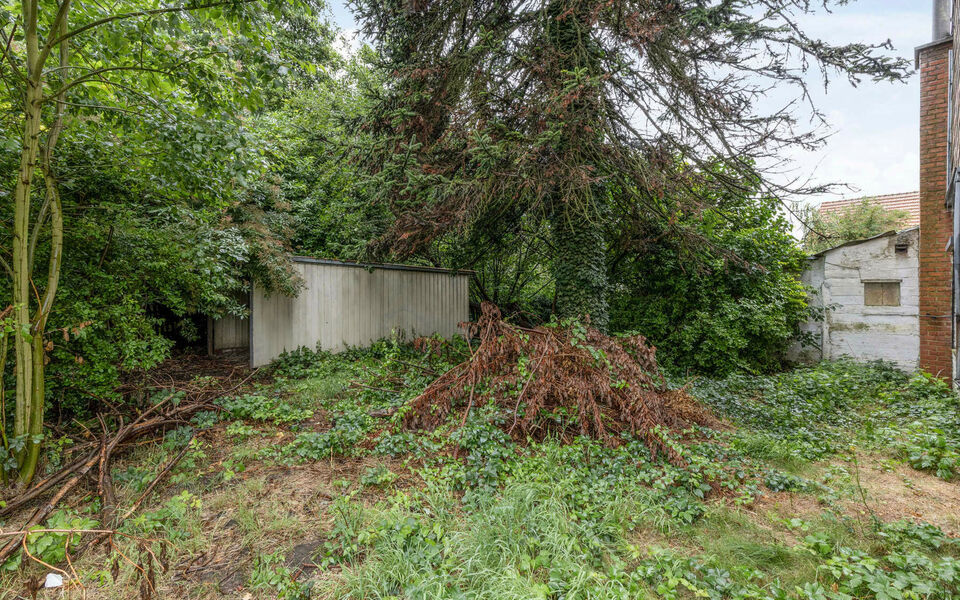 Bouwgrond (projecten) te koop in Glabbeek