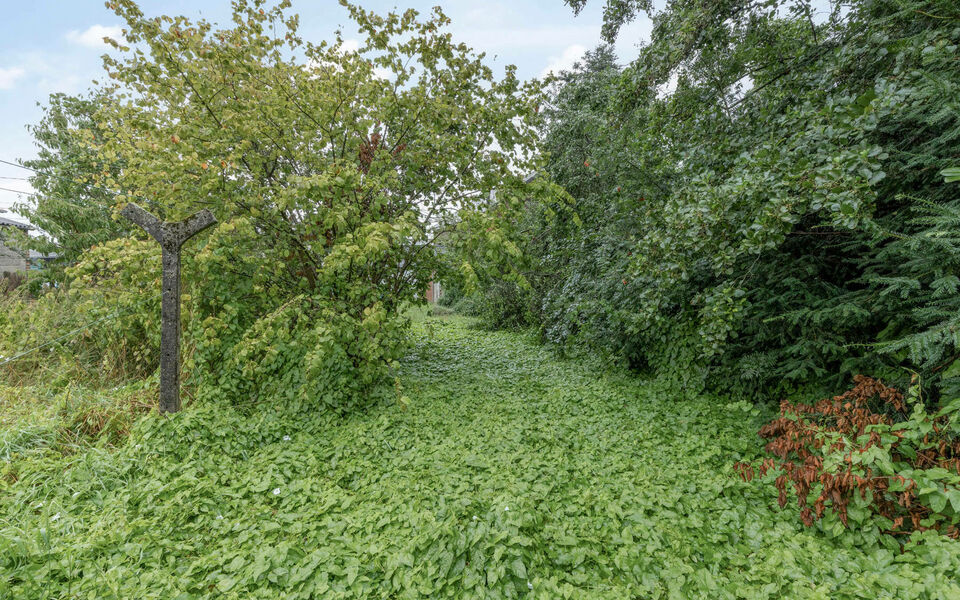 Bouwgrond (projecten) te koop in Glabbeek