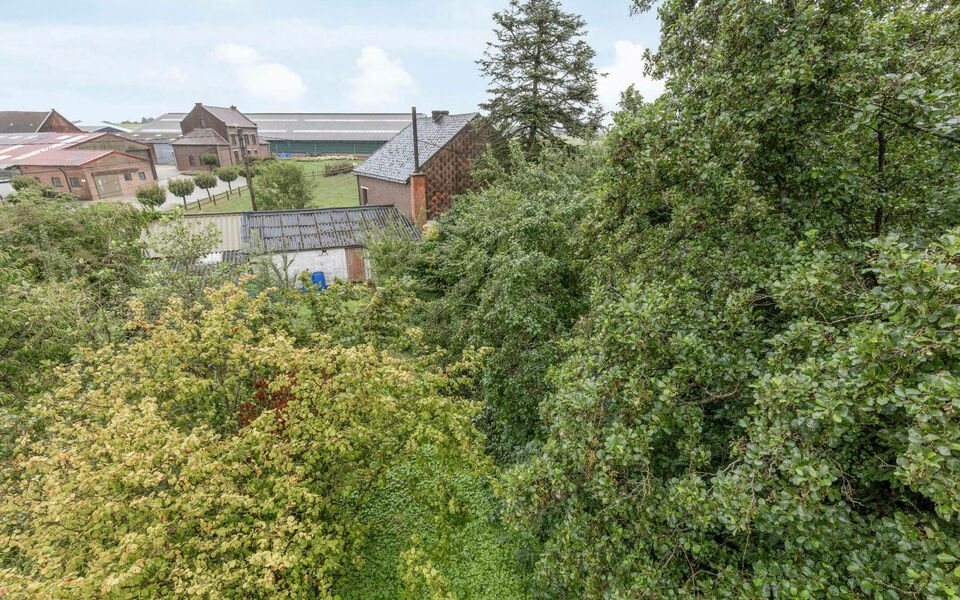 Bouwgrond (projecten) te koop in Glabbeek