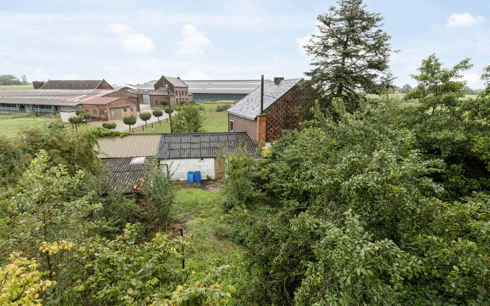 Bouwgrond (projecten) te koop in Glabbeek