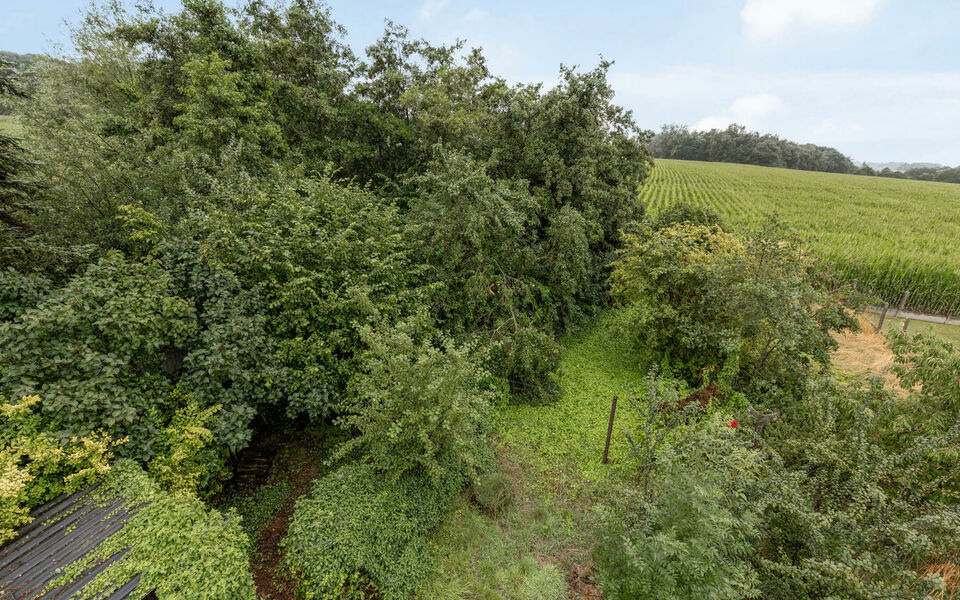 Bouwgrond (projecten) te koop in Glabbeek