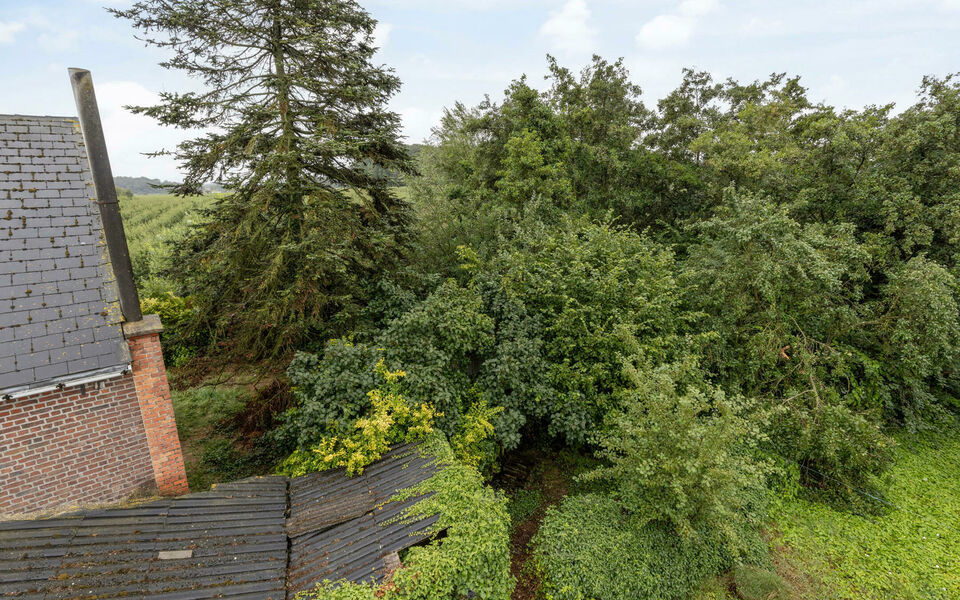 Bouwgrond (projecten) te koop in Glabbeek