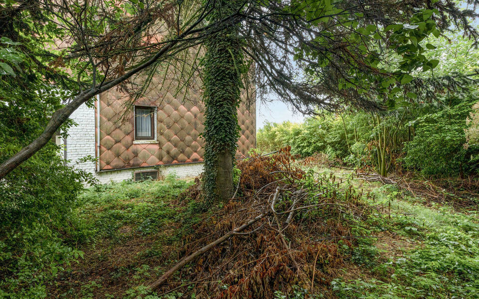 Bouwgrond (projecten) te koop in Glabbeek