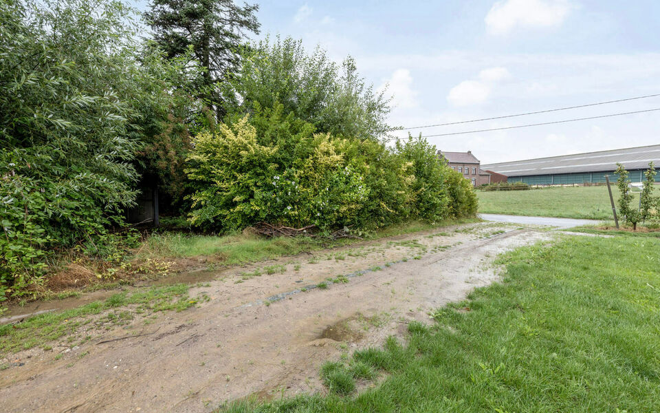 Bouwgrond (projecten) te koop in Glabbeek