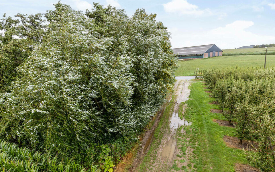 Bouwgrond (projecten) te koop in Glabbeek