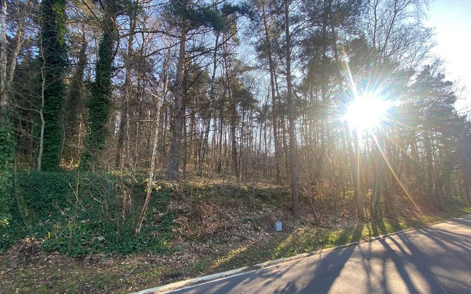 Bouwgrond te koop in Rotselaar