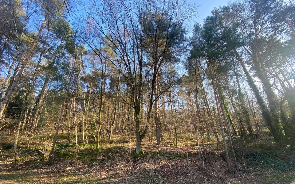 Bouwgrond te koop in Rotselaar