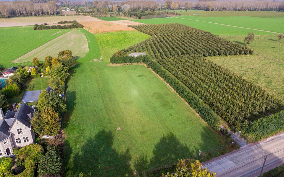 Bouwgrond te koop in Zoutleeuw