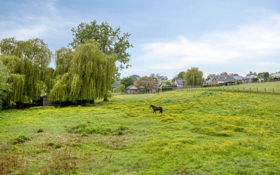Buitengewoon huis te koop in Bertem