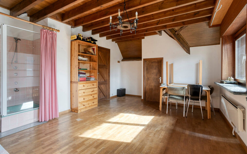 Buitengewoon huis te koop in Leuven