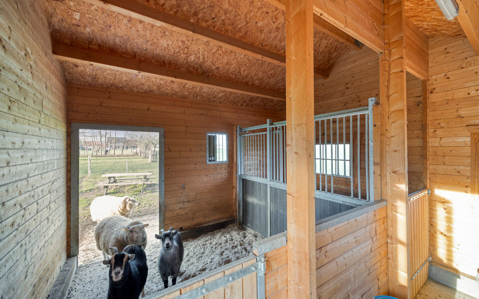 Buitengewoon huis te koop in Linter