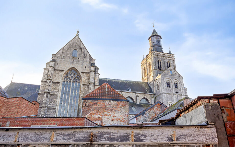 Gebouw voor gemengd gebruik te koop in Tienen