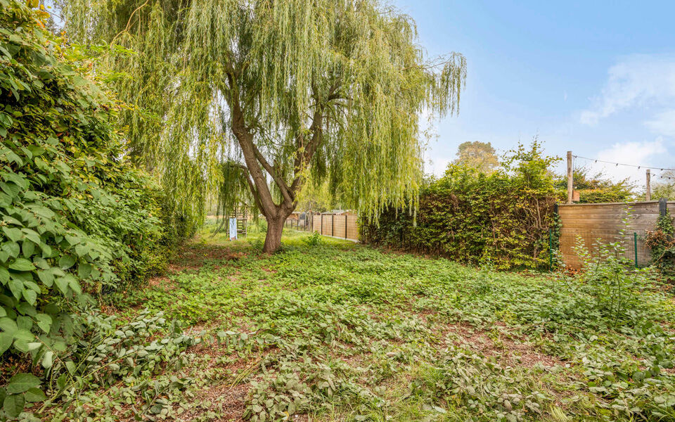 Gebouw voor gemengd gebruik te koop in Wilsele