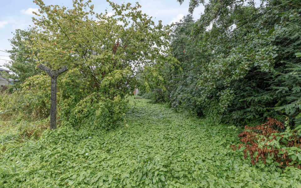 Huis te koop in Glabbeek