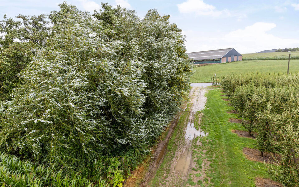 Huis te koop in Glabbeek