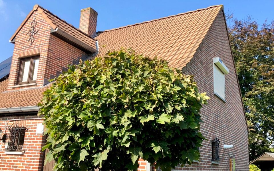 Huis te koop in Kumtich