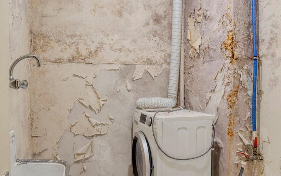 Huis te koop in Wilsele