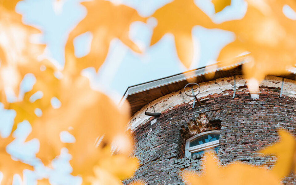 Kantoorgebouw te koop in Begijnendijk