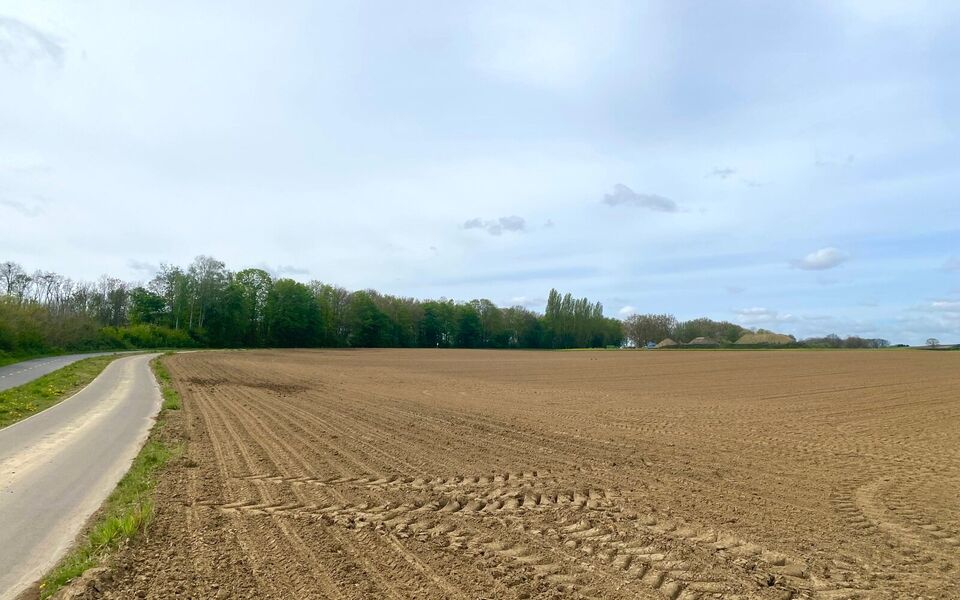 Landbouwgrond te koop in Bertem