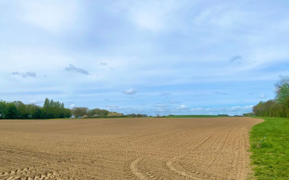 Landbouwgrond te koop in Bertem