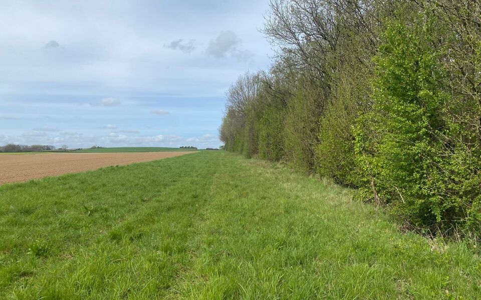 Landbouwgrond te koop in Bertem