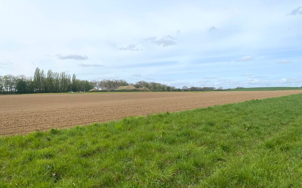 Landbouwgrond te koop in Bertem