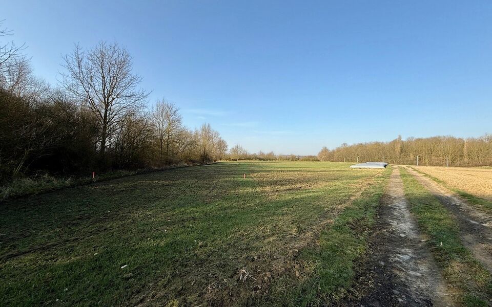 Landbouwgrond te koop in Hoegaarden