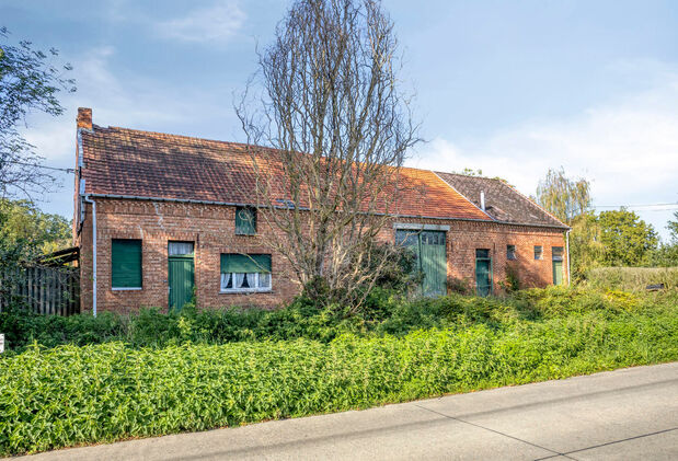 Boerderij te koop in Langdorp