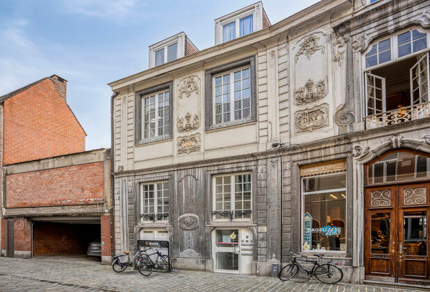 Buitengewoon huis te koop in Leuven