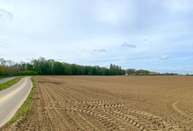 Landbouwgrond te koop in Bertem